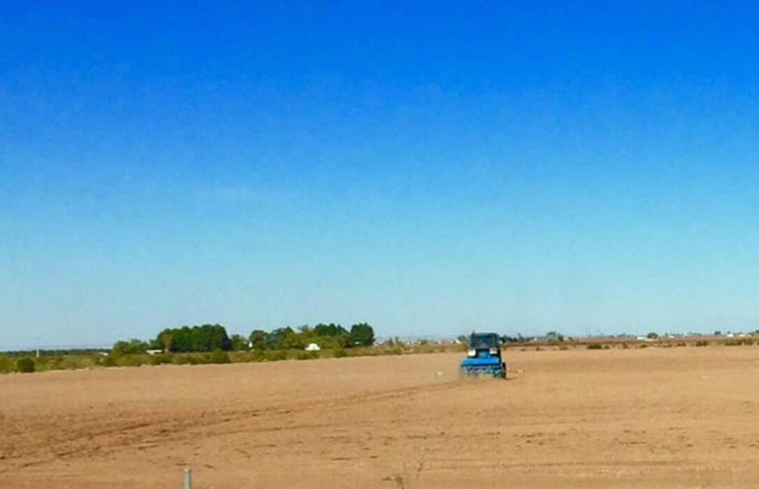 Ley Agraria de Castilla-La Mancha: denuncian que con su desarrollo se quiere incautar y quitar las tierras a sus propietarios