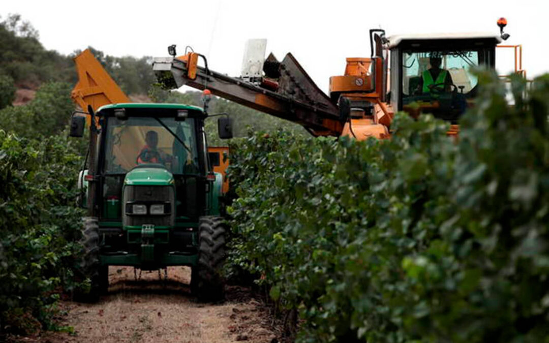 Una tractorada en Iberovinac para exigir soluciones a la difícil situación de la producción vinícola extremeña
