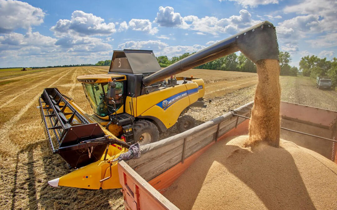 El mercado de cereal espera la prórroga del acuerdo para la exportación de grano de Ucrania pero con una moderación de precios
