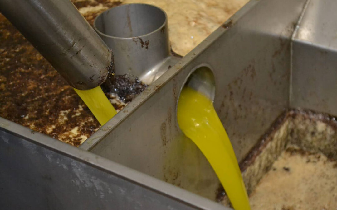 Se estabiliza del consumo de aceite de oliva a unos precios razonables para el olivar tradicional