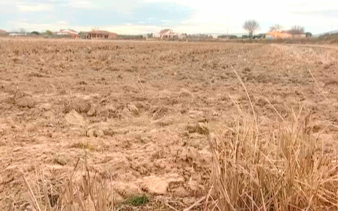 Presentan 50 medidas concretas para frenar las consecuencias y el impacto de la sequía en los cultivos de media España