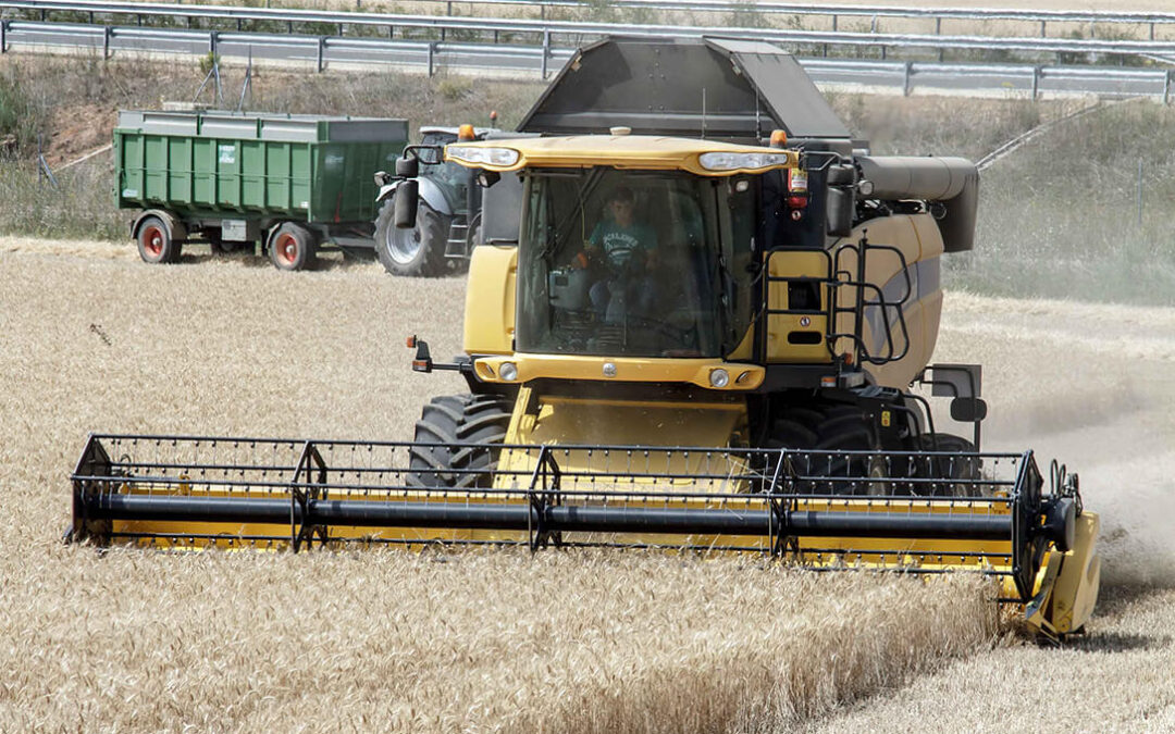 Rusia, pesimista sobre renovar el «acuerdo del grano» con Ucrania cuando el precio de los cereales vuelve a subir en las lonjas españolas