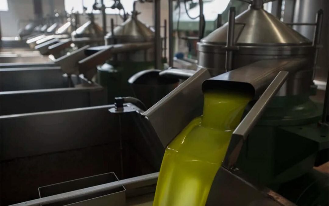 Las ventas de aceite de oliva caen un 23% en el primer trimestre del año y se quedaron en 60,14 millones de litros