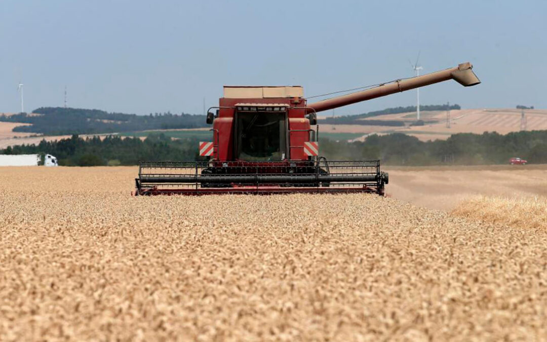 El Grupo Fertiberia y la cooperativa cerealista Vivescia se alían para la incorporación de la línea ‘Impact Zero’ en sus cultivos