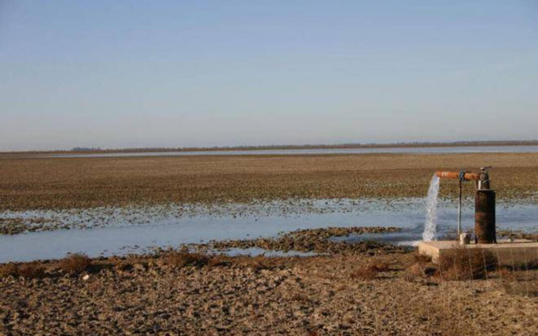 Suavizar tensiones manteniendo la presión: Planas cree que «es muy pronto para hablar de aplicar un 155 medioambiental por Doñana»