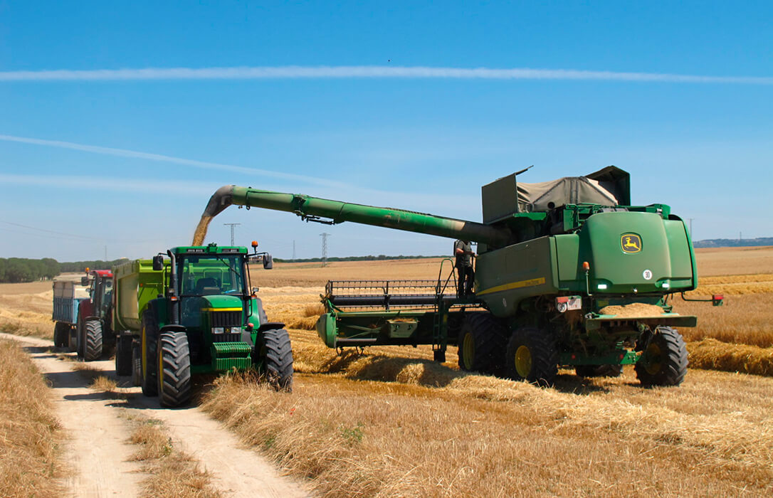 Puesta en marcha de ayudas directas y un fondo de crisis que contribuyan a equilibrar al sector cerealista ante la bajada de precios