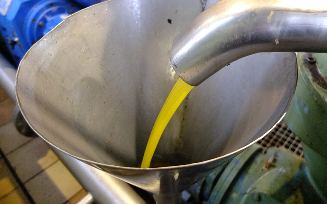 En los 7 meses que se lleva de comercialización se ha vendido todo el aceite de oliva producido en la campaña