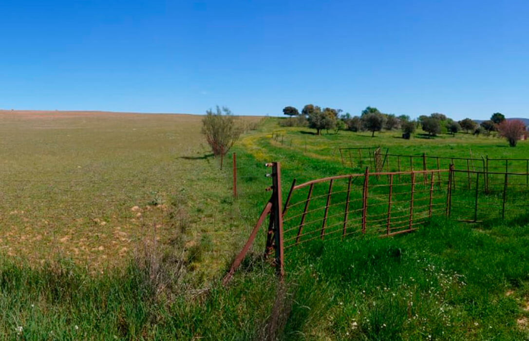 La Alianza de Agricultura Regenerativa reclama que se compense al agro por su captura de CO2
