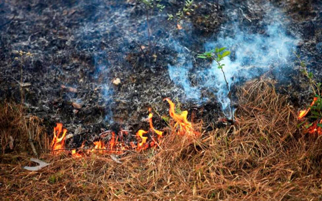 La Xunta reactiva las comunicaciones para llevar a cabo quemas agrícolas por parte de particulares