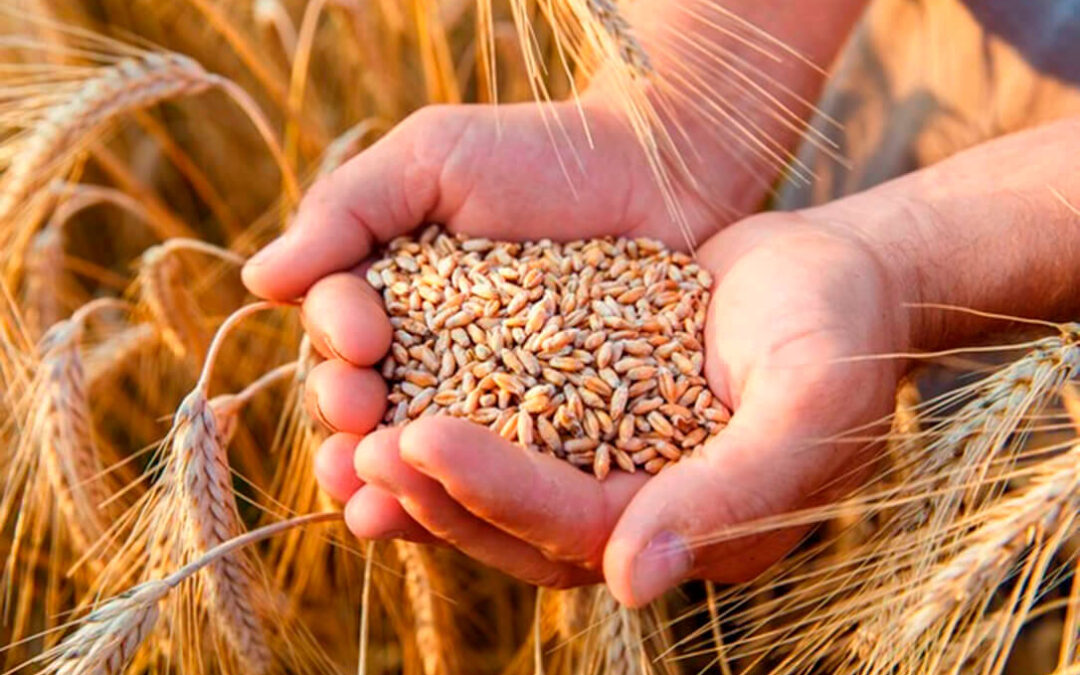 El Ministerio lanza un nuevo boletín semanal con las últimas novedades de análisis y estadísticas agroalimentarias
