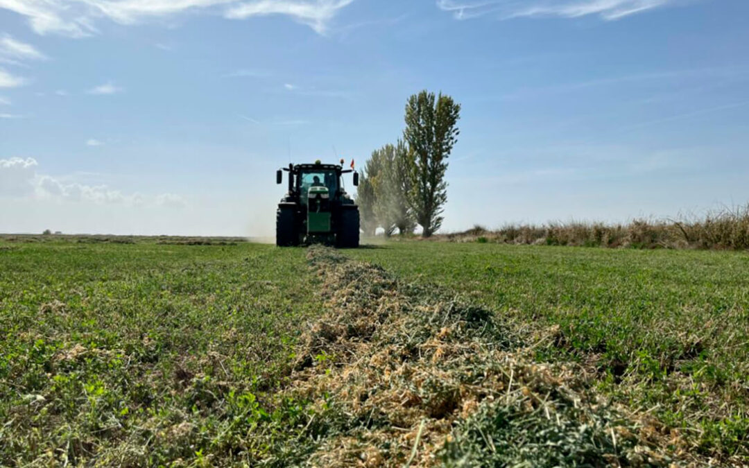 Comienza una campaña catastrófica en alfalfa y forrajes de secano con una caída de la producción salvaje y con las cotizaciones disparadas en León