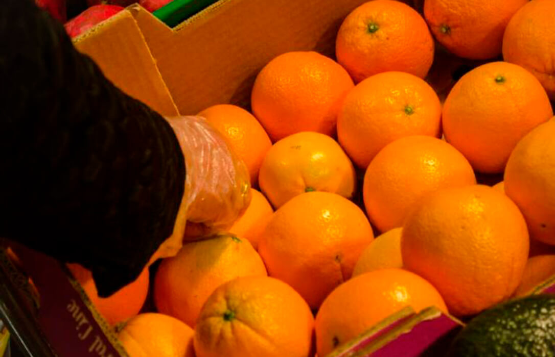 La Comisión Europea endurece las inspecciones y aumenta los controles a las naranjas de Egipto al 30%