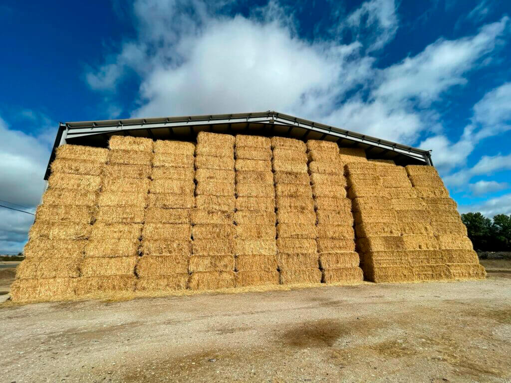 Un problema acuciante para la ganadería: no hay existencia de paja al  coparlo las empresas de producción de biomasa con este producto -  Agroinformacion