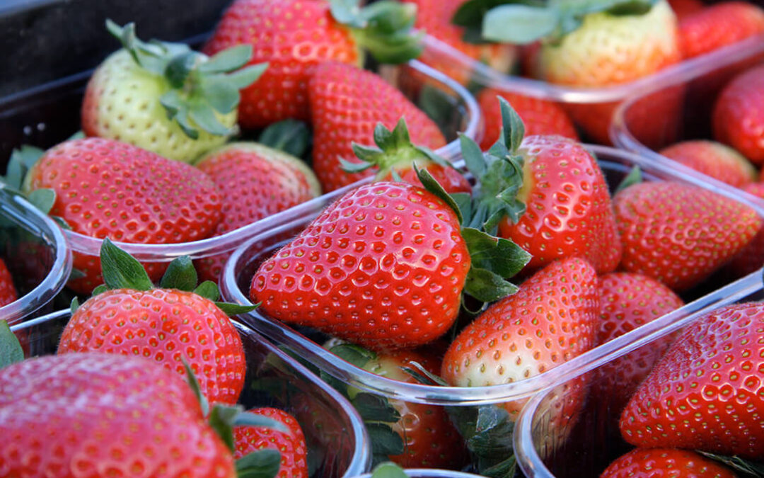 Los frutos rojos se libran de la obligatoriedad de ser vendidos a granel por su riesgo de deterioro o merma