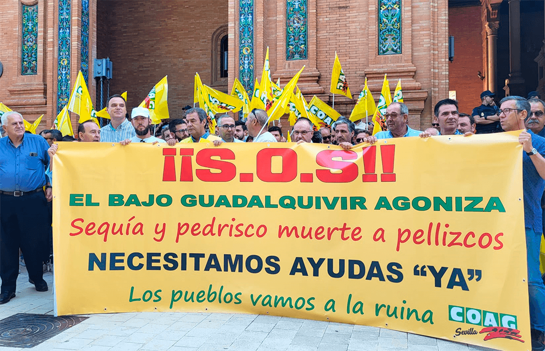 Los agricultores del Bajo Guadalquivir reclaman un plan de rescate urgente tras varios años de sufrir una sequía extrema