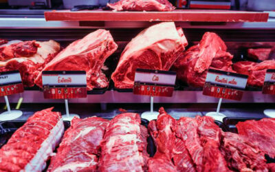 El sector ganadero-cárnico insta a las CCAA a poner en valor en el ámbito educativo la ganadería y el papel de la carne en la nutrición