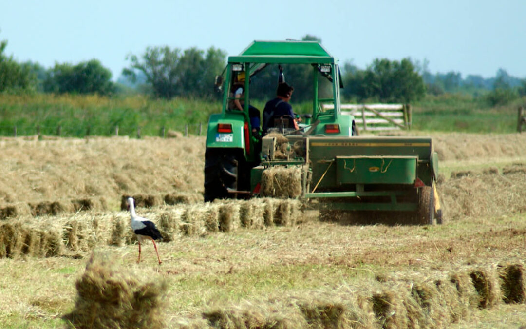 España empieza a alinearse con la tesis que ponen en duda el Pacto Verde y propone «válvulas de escape» para la agricultura