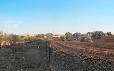 Un dispositivo para evitar la propagación de incendios causados por cosechadoras gana la competición Digitaliza tu Pueblo