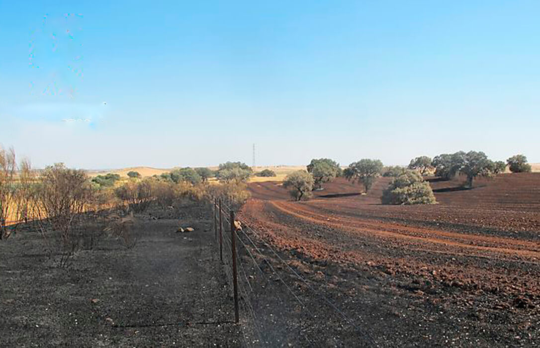 Un Dispositivo Para Evitar La Propagación De Incendios Causados Por Cosechadoras Gana La 7184