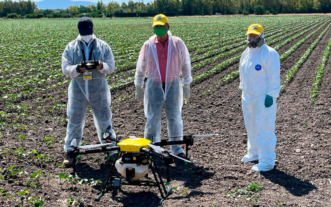 Los drones se suman a la lucha contra plagas: impulsan un estudio de nuevas tecnologías aplicadas a la gestión de las explotaciones agrarias