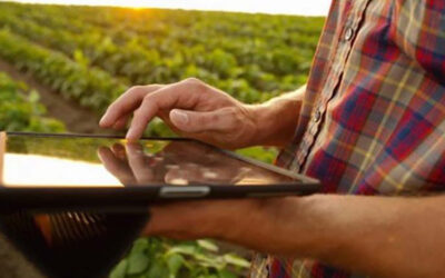 El proyecto Hub Iberia Agrotech ayuda a 305 pymes agroalimentarias a avanzar en su proceso de digitalización