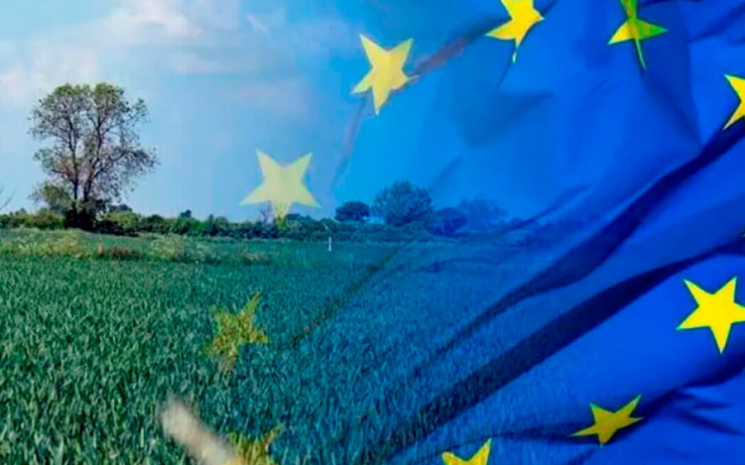A 10 días de tomar posesión: denuncian la falta de compromiso del Gobierno con el sector agrario ante la inminente Presidencia de la UE