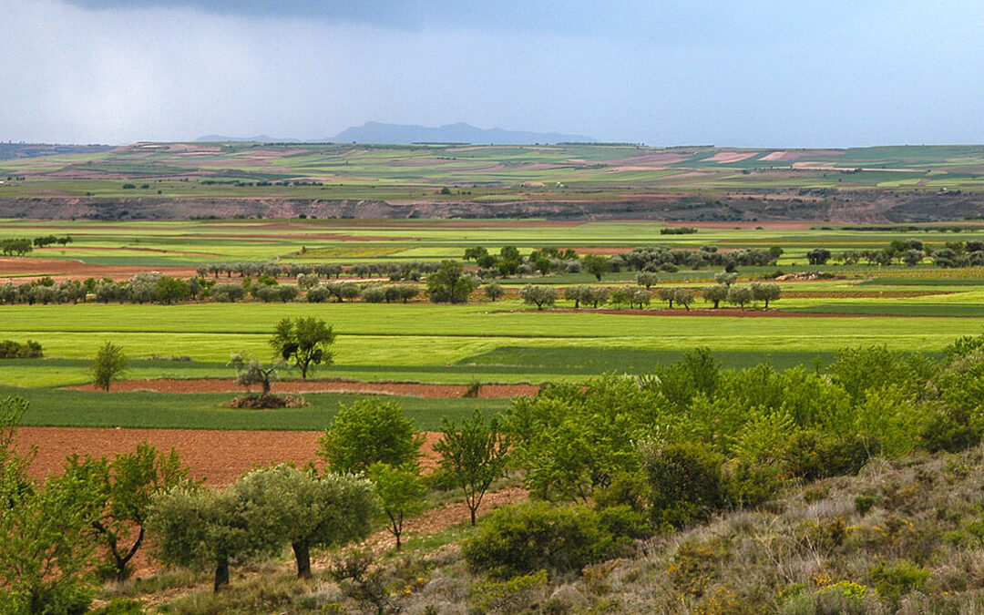 La nueva PAC empieza a adaptarse a la nueva situación: La Rioja flexibiliza su aplicación debido a la sequía