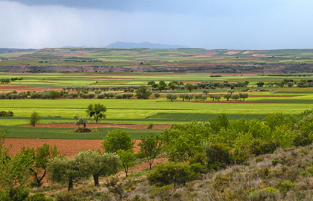 La nueva PAC empieza a adaptarse a la nueva situación: La Rioja flexibiliza su aplicación debido a la sequía