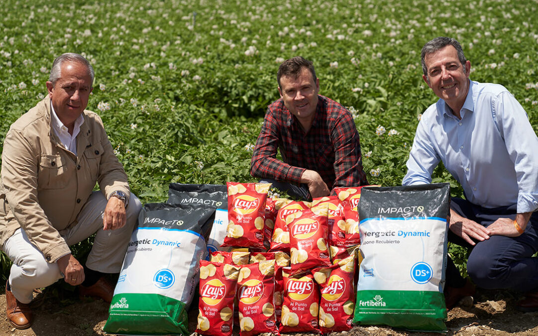 Pepsico y Fertiberia lanzan un programa pionero para reducir emisiones en el cultivo de patata con fertilizantes a partir de hidrógeno verde