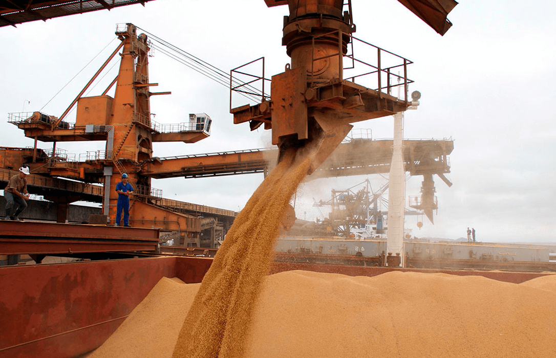 Nuevo conflicto y más tensión: Rusia limitará la salida de grano ucraniano hasta que se faciliten sus exportaciones de amoniaco