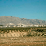 A buen ritmo pese a los cambios que pueda haber: Las solicitudes de ayudas PAC 2023 en Andalucía alcanzan ya el 75% del total previsto
