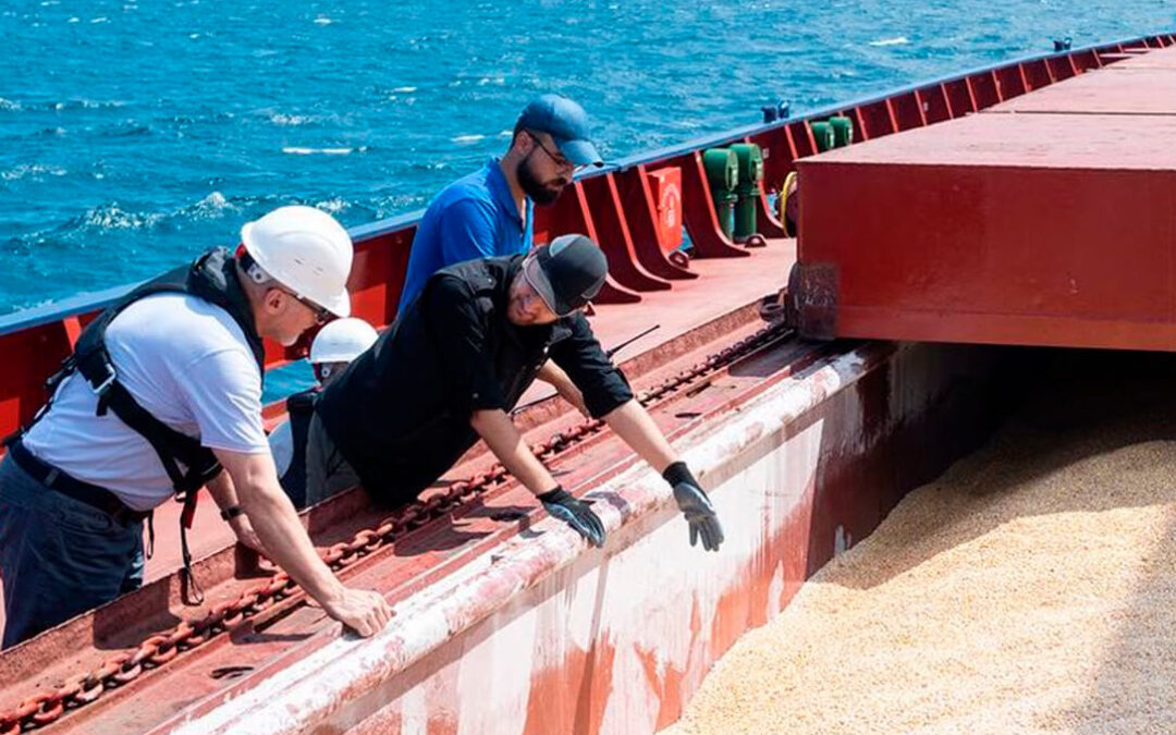 Esta vez la amenaza se hizo realidad: Rusia suspende el acuerdo de exportación de grano a través del mar Negro