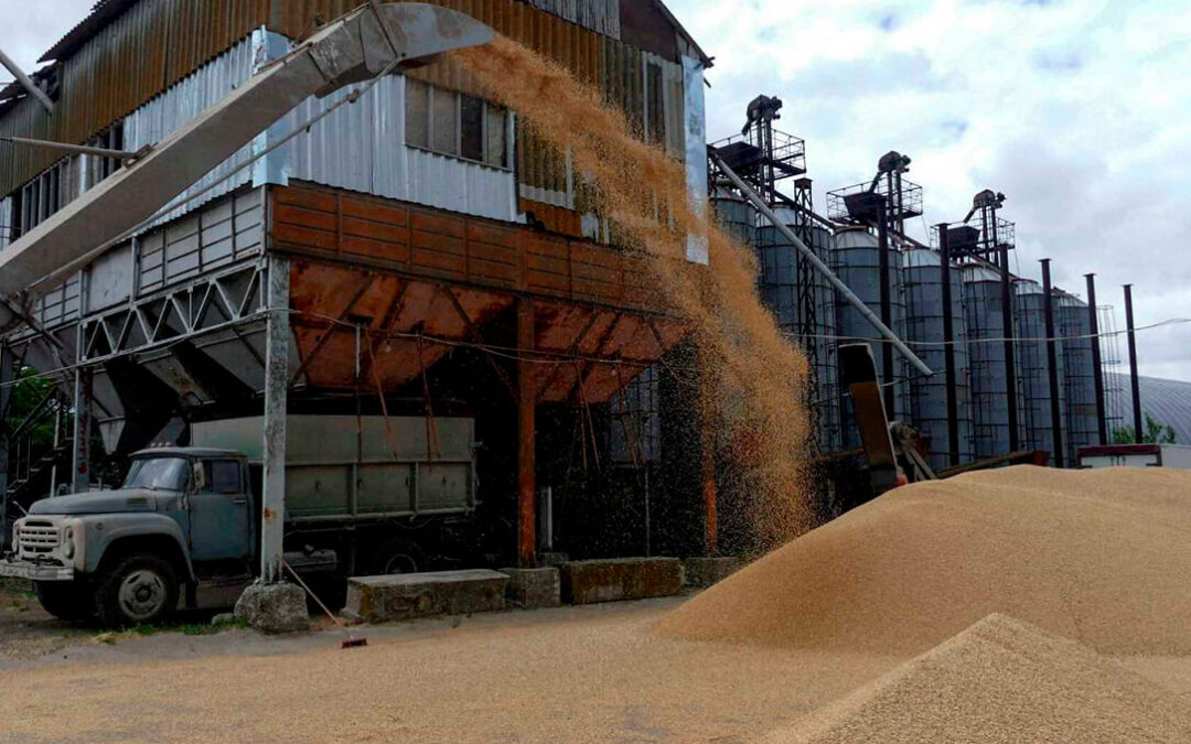 El mercado cerealista continúa pesado y sin llegar a cerrar operaciones de grandes volúmenes en la lonja del Ebro