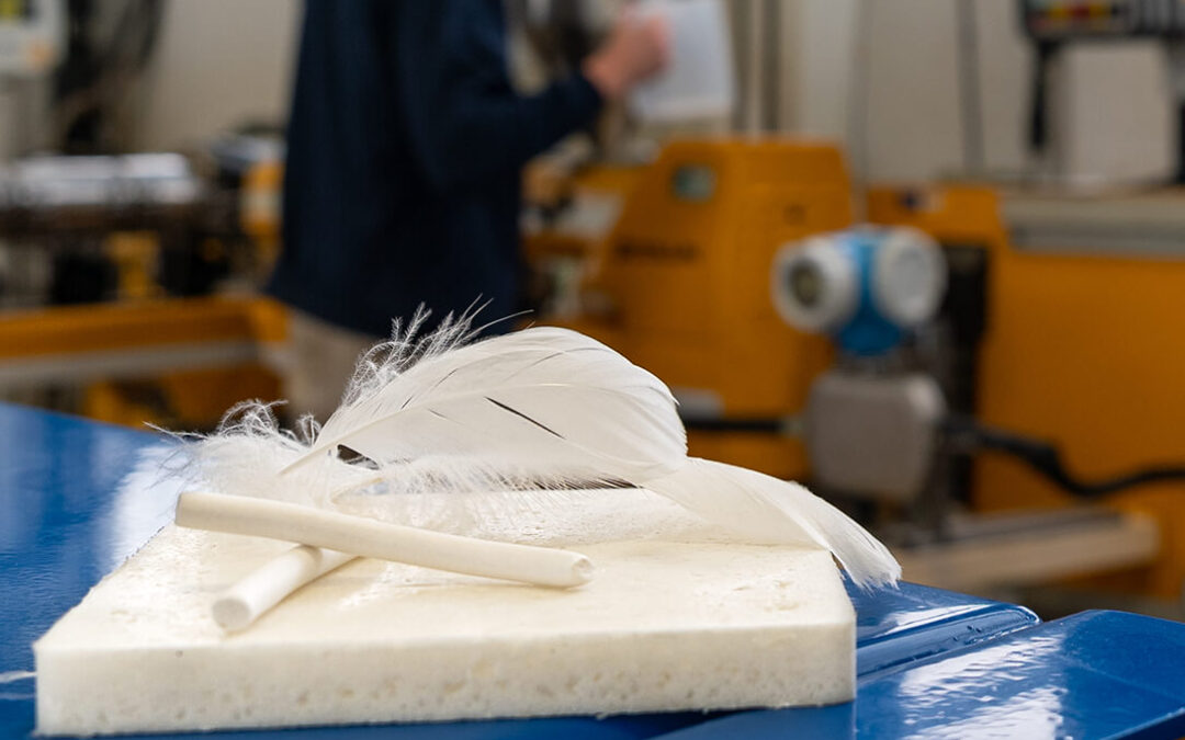 Sostenibilidad y economía circular: AIMPLAS transforma residuos de plumas de ave en espumas para cultivos hidropónicos sostenibles