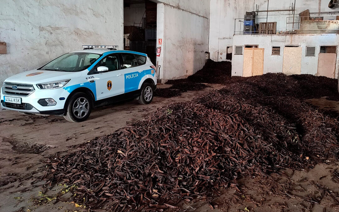 Detenidas cuatro personas e investigan a otra por apropiación indebida de más de 55.000 kilos de algarroba valoradas en 83.782 euros