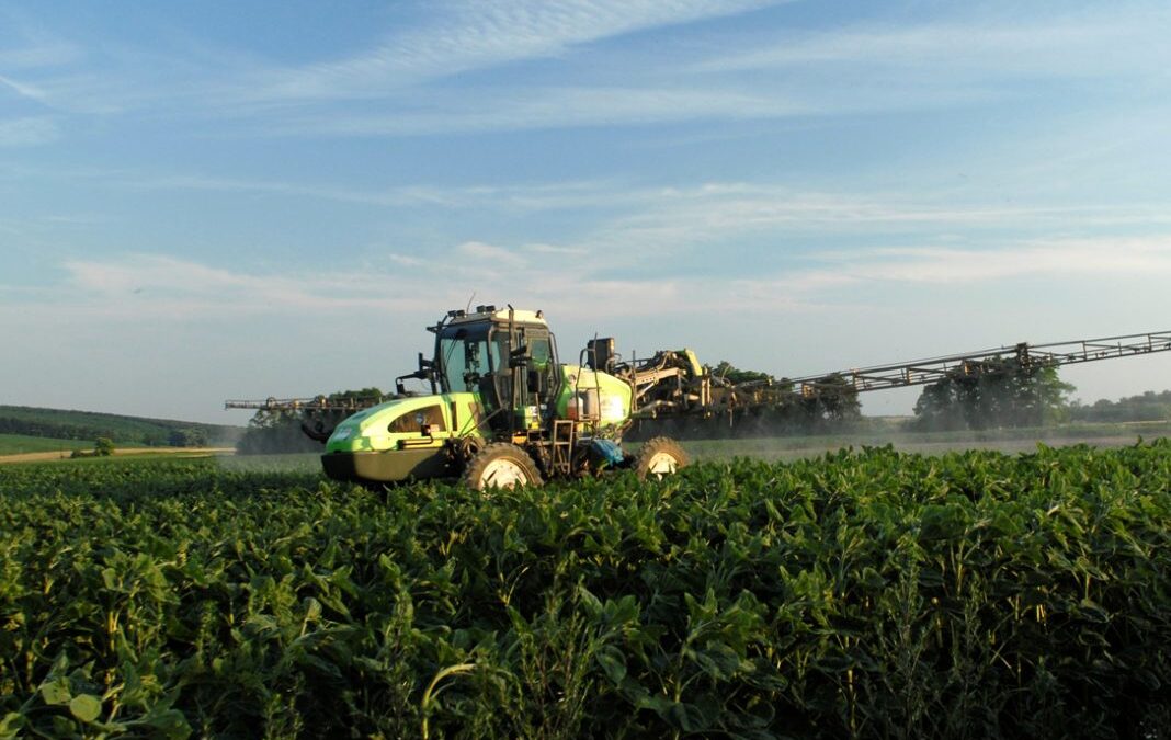 Nuevo compás de espera: La Unión Europea deberá decidir sobre la autorización definitiva del herbicida glifosato el próximo octubre