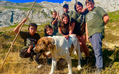 Arranca la quinta edición de ‘Aventura Trashumante’, la iniciativa medioambiental que acerca la cultura del pastoreo a los más jóvenes