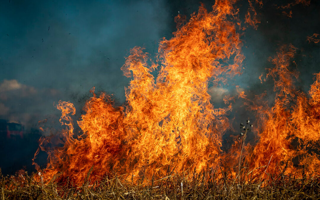 Una lucha de todos: Piden precaución y extremar la seguridad a agricultores y sociedad por el alto riesgo de incendios por altas temperaturas