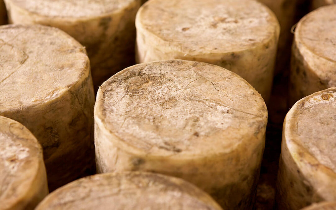 El Ifapa y Quesandaluz sellan un acuerdo para impulsar la investigación y la trazabilidad en la producción de quesos artesanos