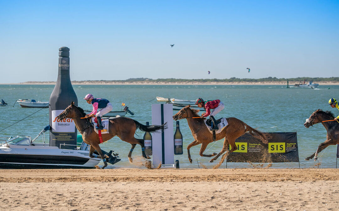 Una tradición de cada verano: Bodegas Barbadillo vuelve a apoyar las carreras de caballos en las playas de Sanlúcar