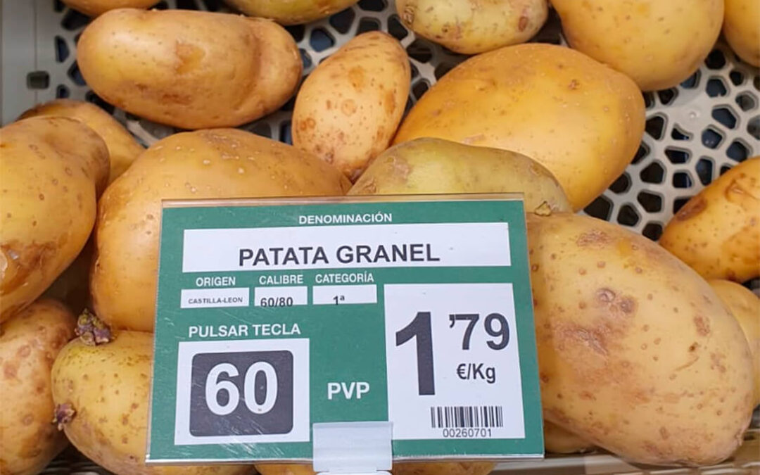 ¿Por qué suben tanto los alimentos?: denuncian que en los lineales se sextuplica el precio de la patata respecto a lo que se paga a pie de campo