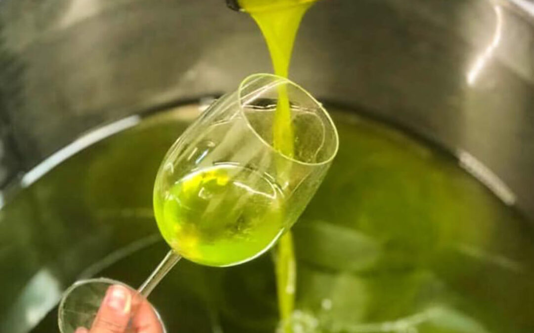 El precio del aceite de oliva seguirá su escalada por la previsión de una baja cosecha lo que beneficiará el consumo de otras grasas vegetales
