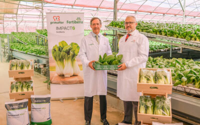 Fertiberia se alía con Primaflor para reducir al mínimo las emisiones de CO2 en la producción de verduras y hortalizas