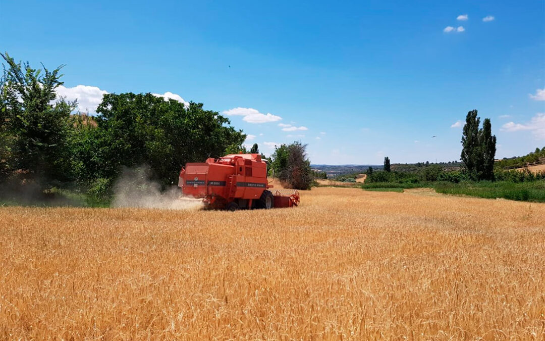 La Junta de Castilla y León  impulsa una Lonja de Valladolid y Palencia que se convertirá en referente a nivel nacional para los cereales