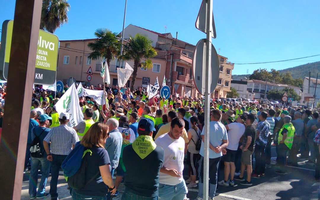 Un millar de personas protestan contra las «prácticas mafiosas» para comprar aceituna por debajo de costes