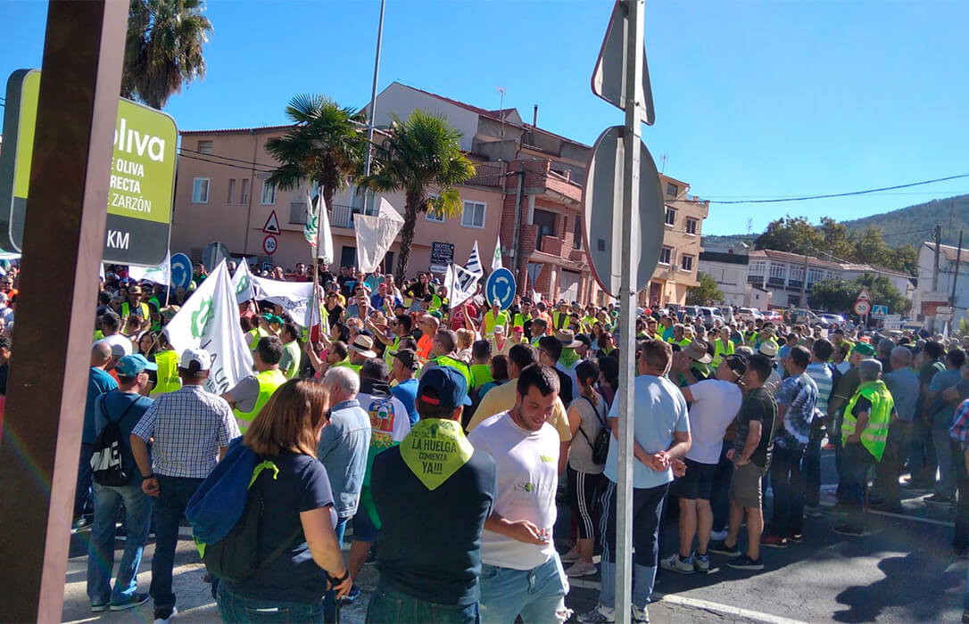 Un millar de personas protestan contra las «prácticas mafiosas» para comprar aceituna por debajo de costes