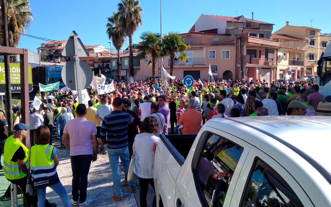 La otra cara de las protestas: Asemesa denuncia coacciones a la industria aceitunera en el norte de Cáceres