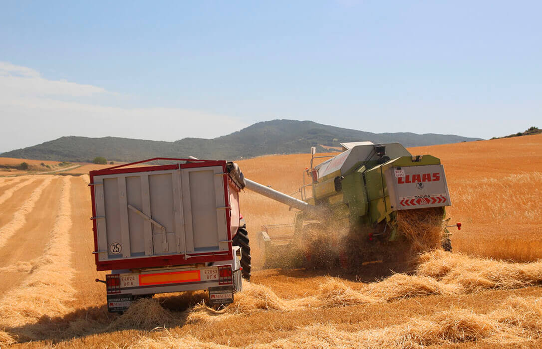 La falta de operatividad provoca pocos cambios en los precios de la tablilla cerealista de la Lonja del Ebro