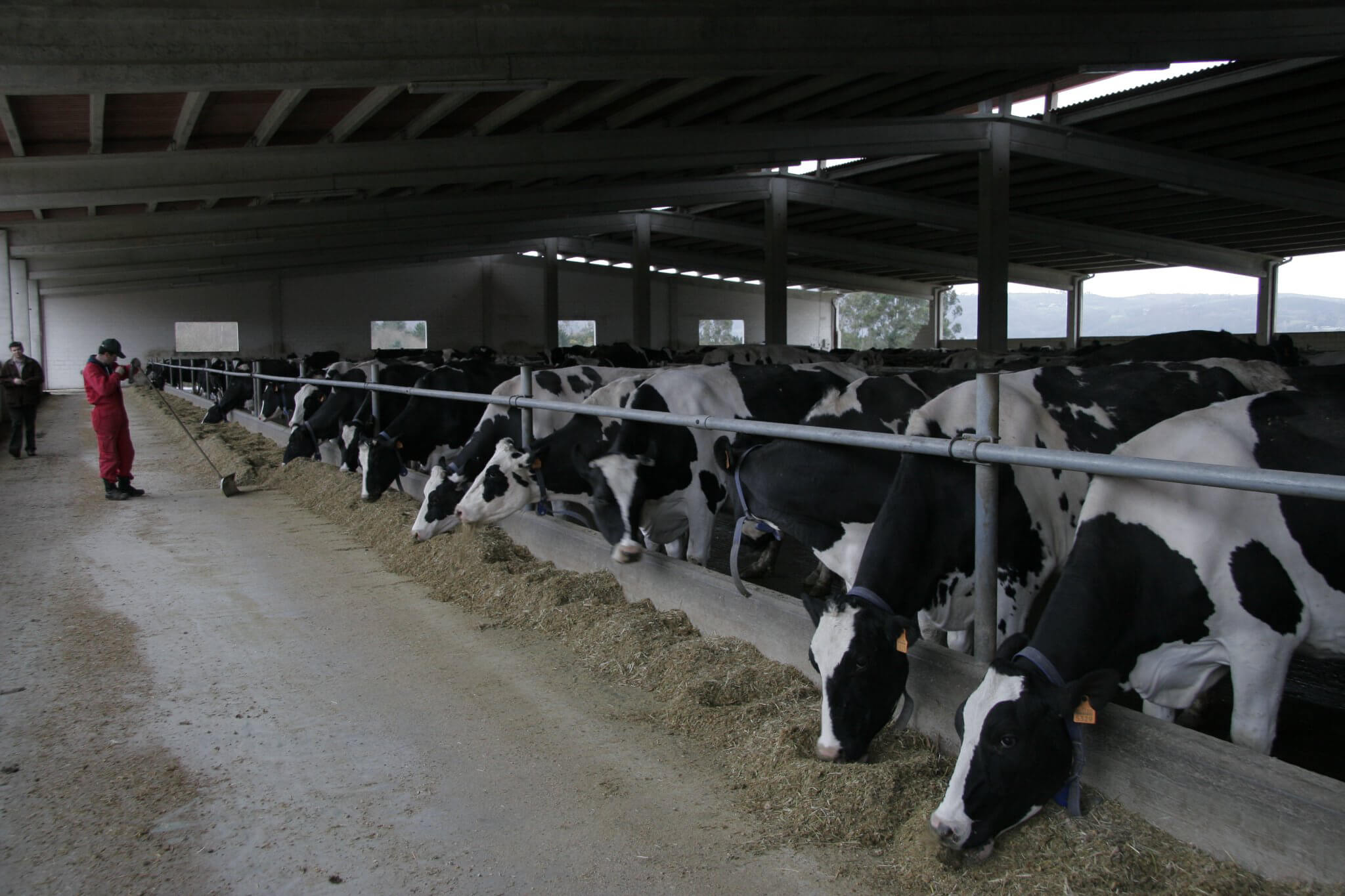 Barómetro de la industria: se importan productos lácteos, en especial quesos, porque en España se paga en origen la leche más cara de la UE