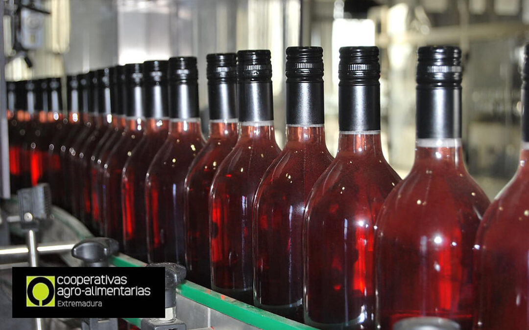 El Gobierno prevé un descenso del 15% en la producción de vino esta campaña debido a los efectos de la sequía